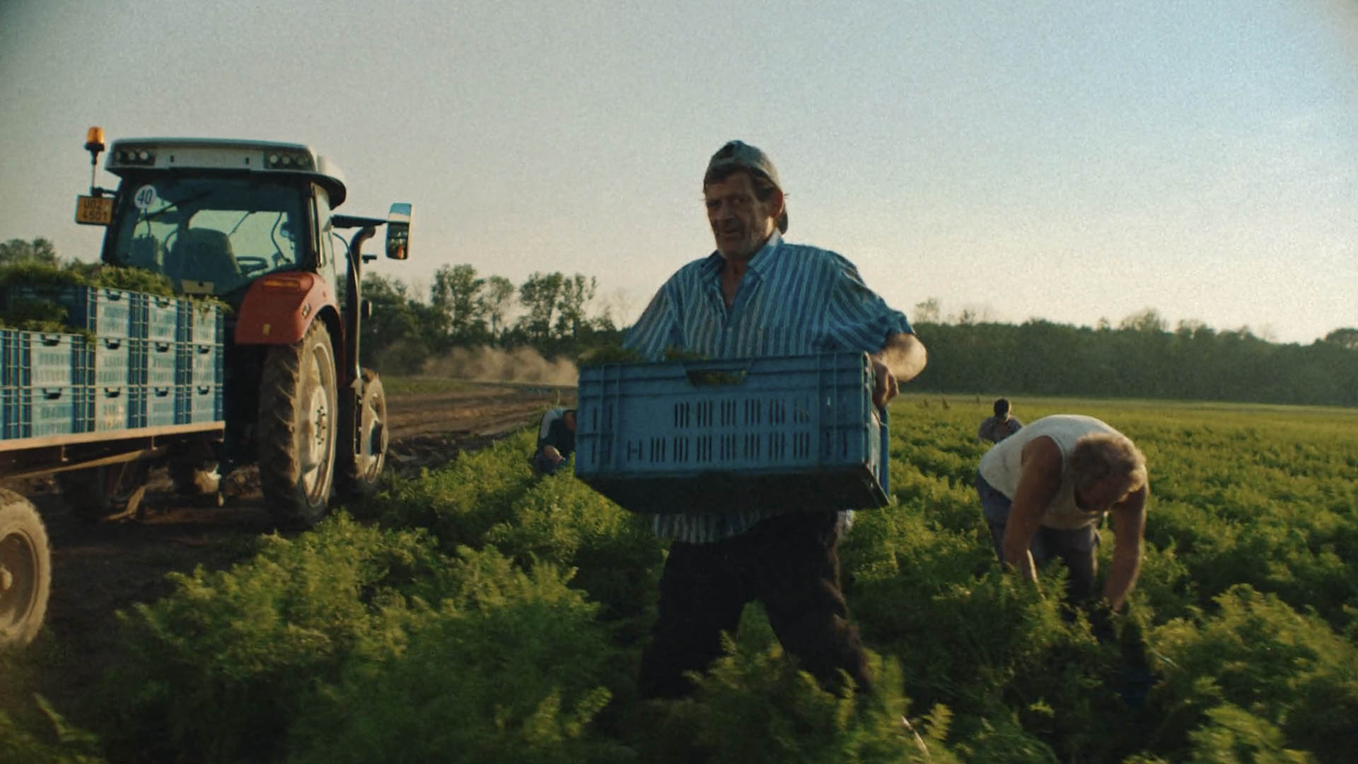 Promo campaign for online supermarket Knuspr.de starring real farmers and bakers. 